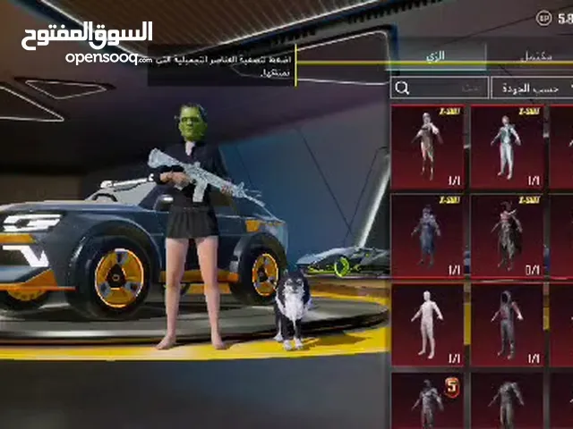 Pubg Accounts and Characters for Sale in Dhamar