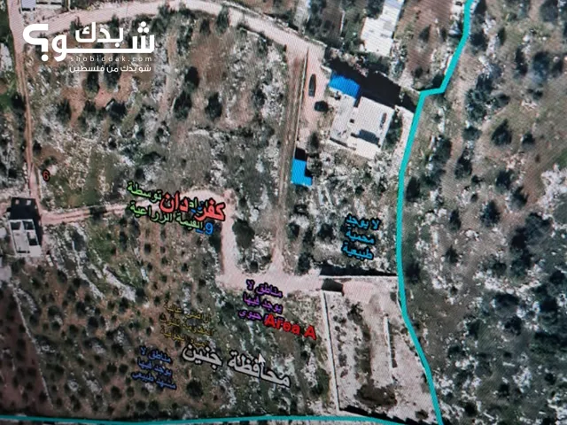 Residential Land for Sale in Jenin Kafr Dan