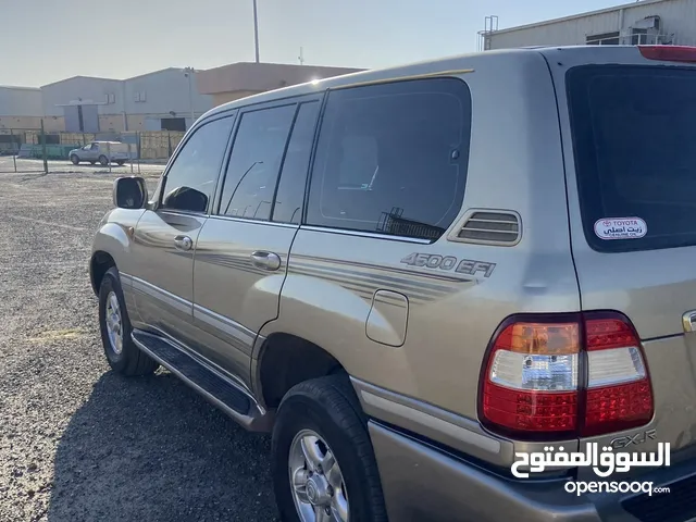 الي يدور النظيف