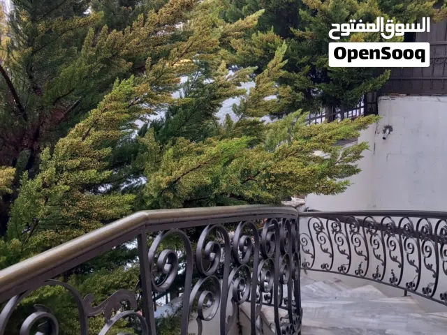 Semi Furnished Monthly in Amman Daheit Al Yasmeen