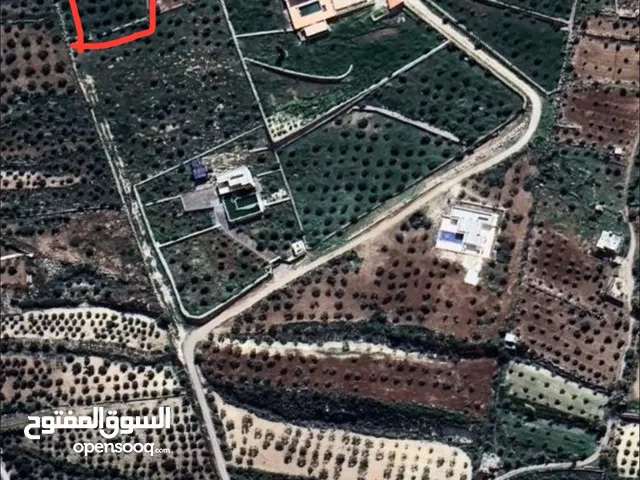 ارض زراعية مطلة، مزرعة زيتون ، منطقة فلل، على اوتستراد الزرقاء جرش ب قرية دحل