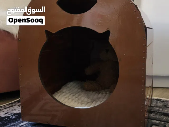 مننننزززززل للقطططط خششسشششب  للقطط اوو للجرو حجم صغير