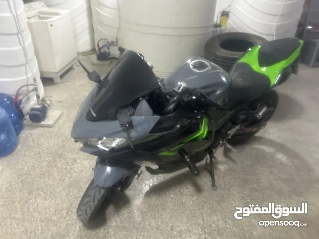 Kawasaki ninja 2019