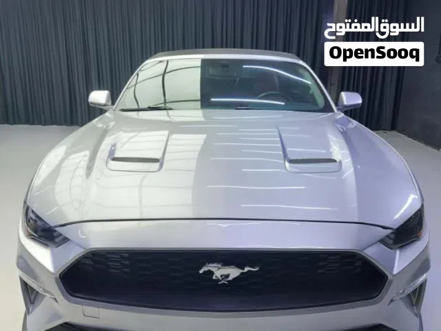 2019 Ford Mustang EcoBoost