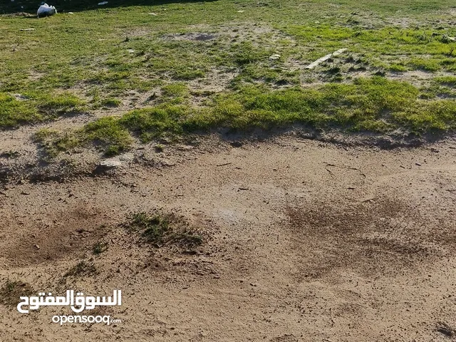 Mixed Use Land for Sale in Ajaylat Other