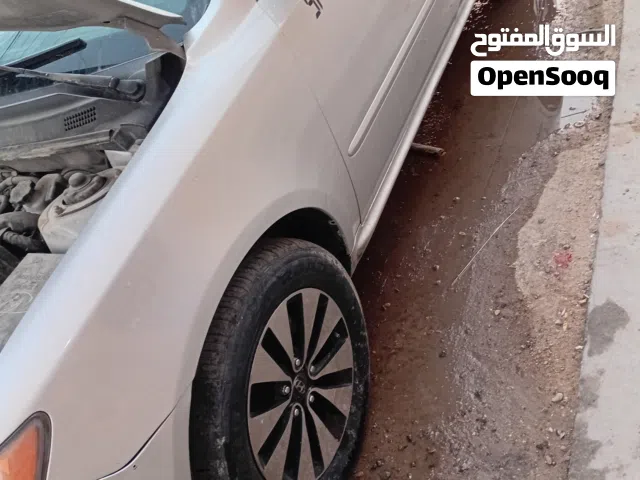 ويلكب كوري للمراوس