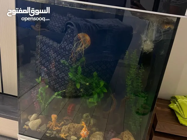 حوض سمك كبير للبيع