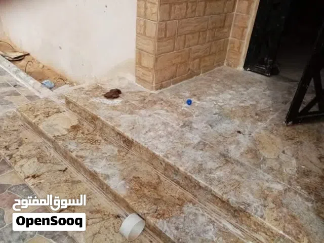 اسطي سيراميك وبورسلاين ورخام وزليز