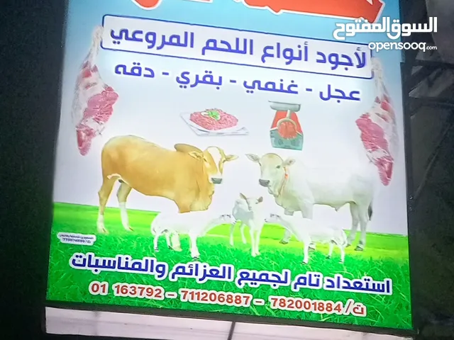 خبراء في مجال الدعاية والإعلان والتصاميم والطباعة