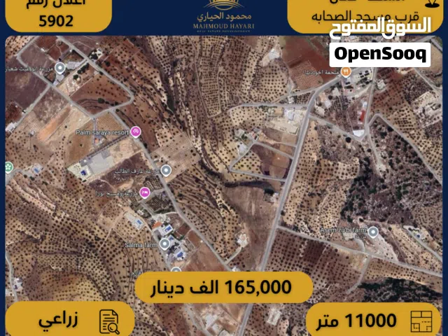 Farm Land for Sale in Salt A'llan