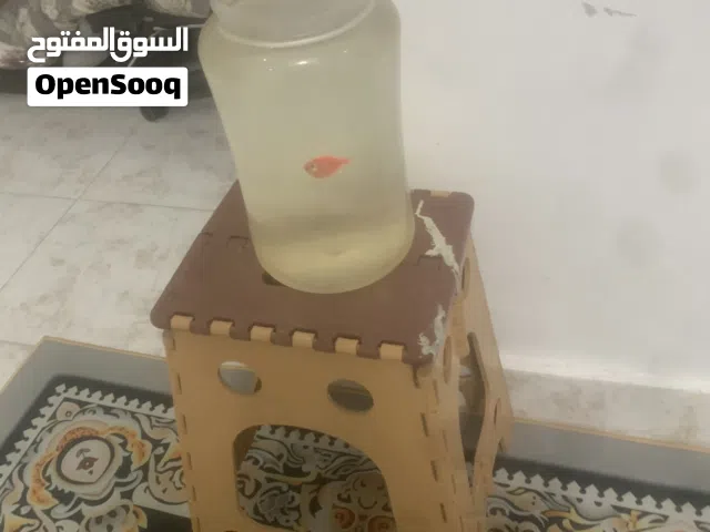 للبيع اقراض شوف الكتابه تحت