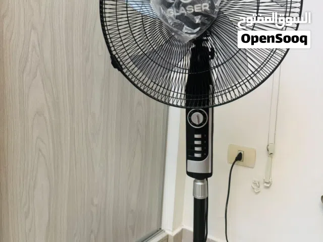 Standing Fan