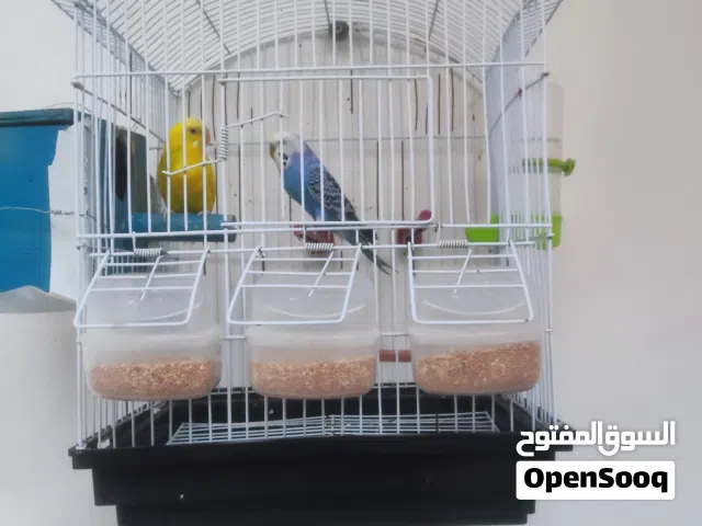 للبيع 140 أقرا الوصف