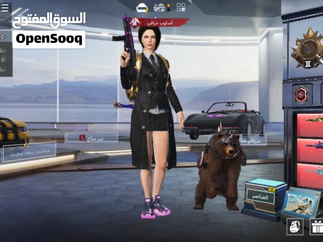 Pubg Accounts and Characters for Sale in Mizdah