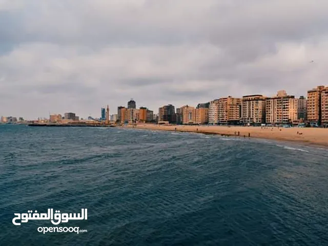 120m2 2 Bedrooms Apartments for Rent in Alexandria Nakheel
