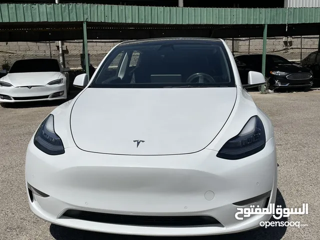 Tesla model Y long range dual motor 2021