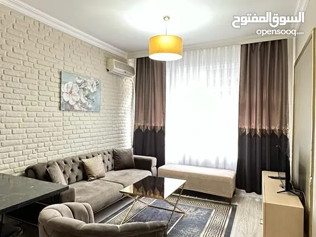 55 m2 1 Bedroom Apartments for Rent in Istanbul Şişli