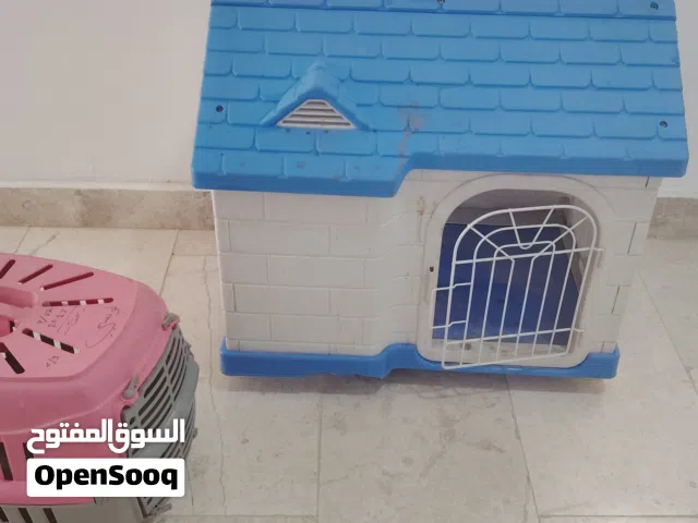 بيت قطط وحامله