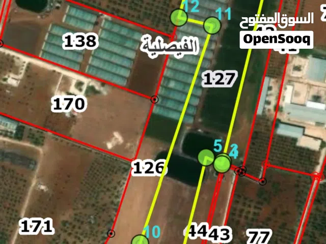 Farm Land for Sale in Madaba Al-Faisaliyyah
