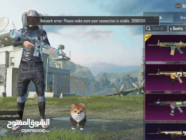 Pubg Accounts and Characters for Sale in Basra