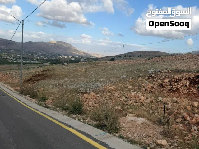 Residential Land for Sale in Nablus Taluza