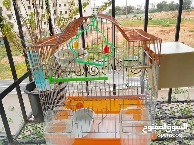 قفص الطيور حجم صغير ولوازمه
