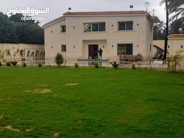 300 m2 5 Bedrooms Villa for Rent in Alexandria Amreya