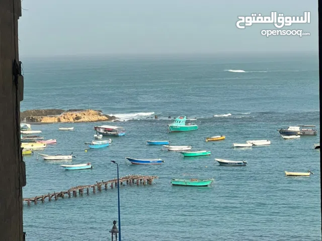 شقه للبيع في ميامي تاني نمره من البحر