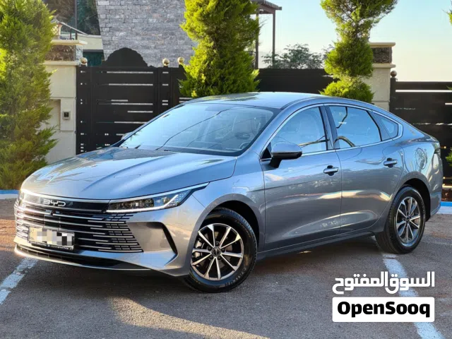 2025 BYD Destroyer 05