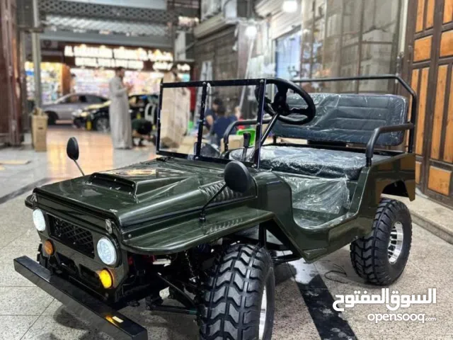 مطلوب ميني جيب