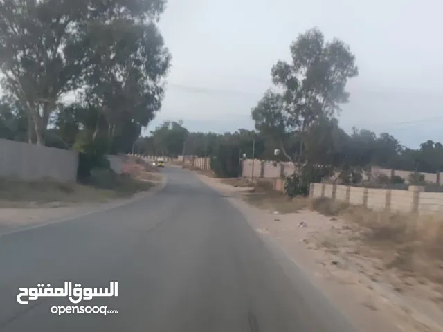 Farm Land for Sale in Tripoli Tajura