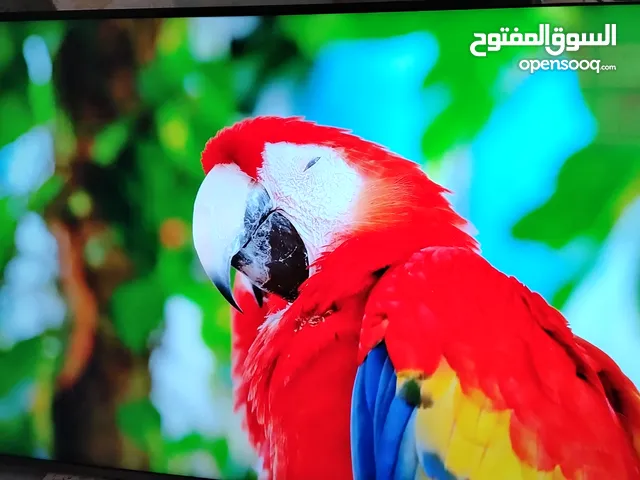 I-View Smart 65 inch TV in Zarqa