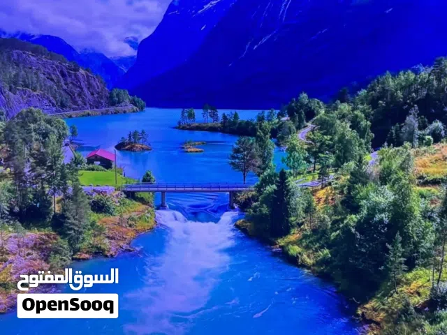 تلفزيون ونسا 4K بحالة الجديد