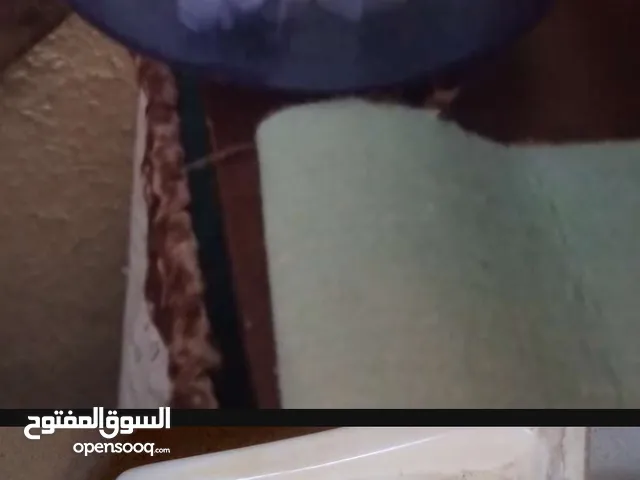 مغسله بحاله ممتازه بتركب بالحيط مباشره للبيع