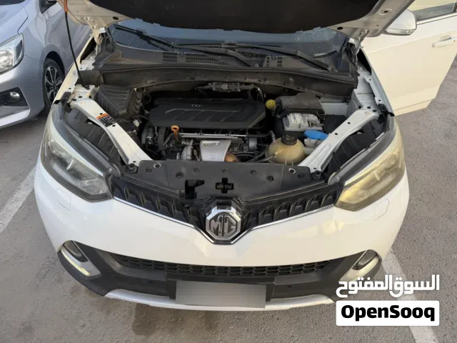 2018 ام جي اخرى