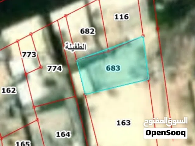 360 m2 More than 6 bedrooms Apartments for Sale in Tafila Al-Qasr