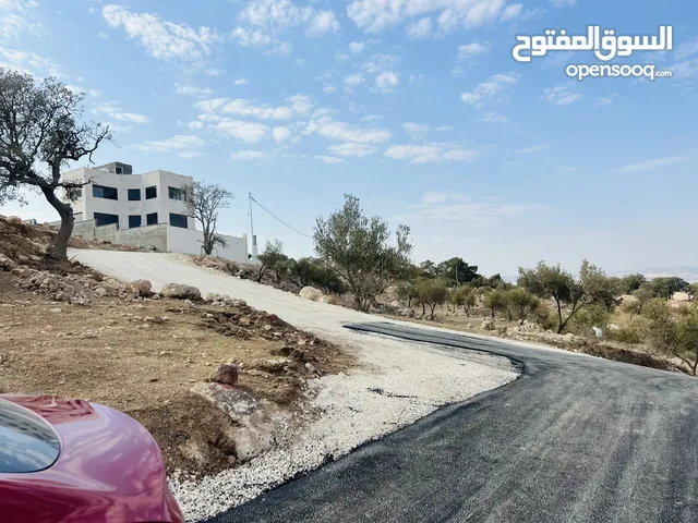 Residential Land for Sale in Zarqa Al-Alouk