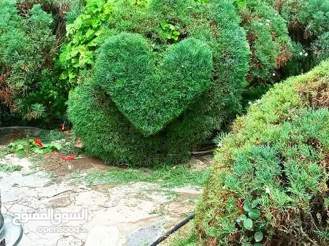 تنسيق وزراعه الحدائق. تركيب شبكات ري مكافحه الحشرات بجميع انواعها