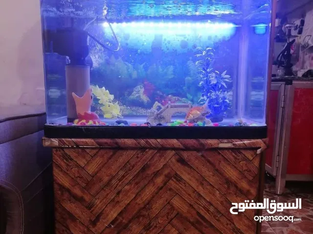 حوض سمك زجاج مستعمل نضيف جدا