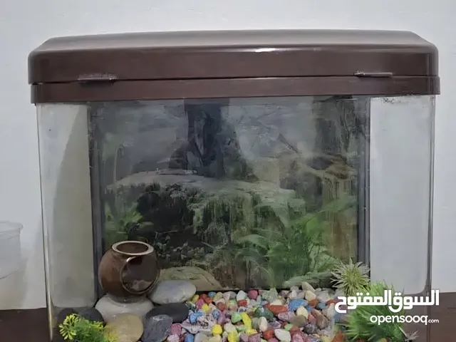Used plastic aquarium for sale in good condition.