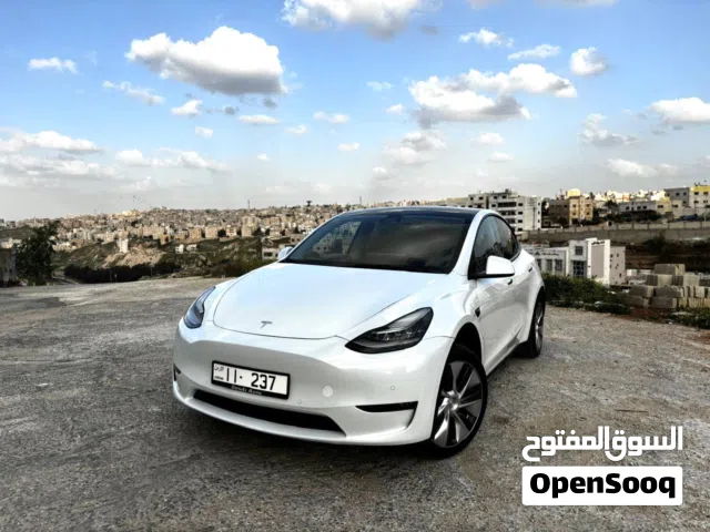 2021 تيسلا موديل Y Standard Range