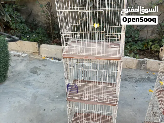 السلام عليكم سلاكات للبيع 75دينار