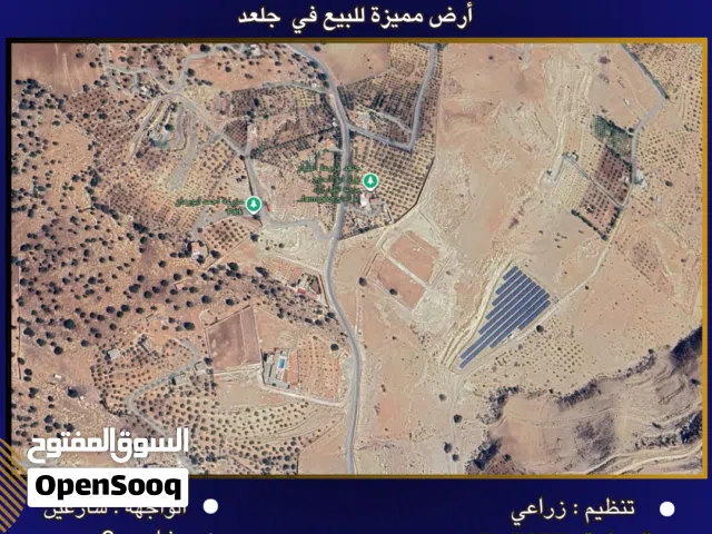 Farm Land for Sale in Salt Jala'd
