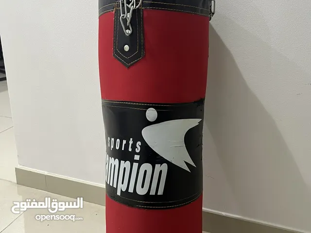 Champion Boxing Punching Bag
