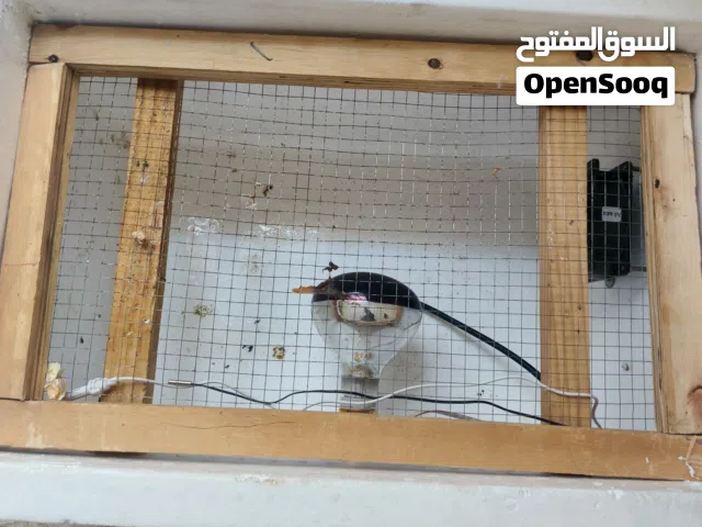 فقاسه للبيع تقليب يدوي