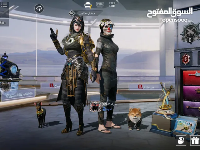 Pubg Accounts and Characters for Sale in Zarqa