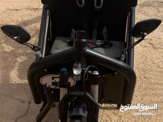 vélo électrique cargo