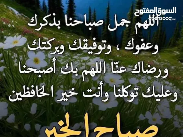 اشعار بدويه