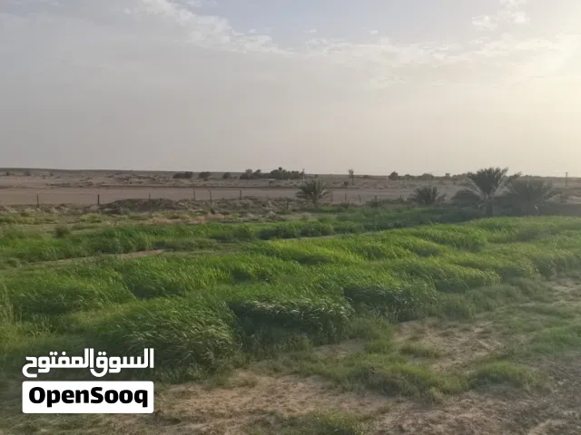 للبيع مزرعة ف ضنك