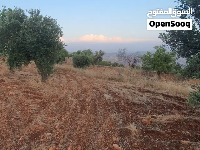 من المالك** قطعة أرض في سوف السهلات غرب ثغرة عصفور قطعه مميزة جدا باطلاله قويه جدا ومن المالك
